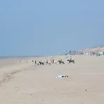 Ponyhof Aagtekerke