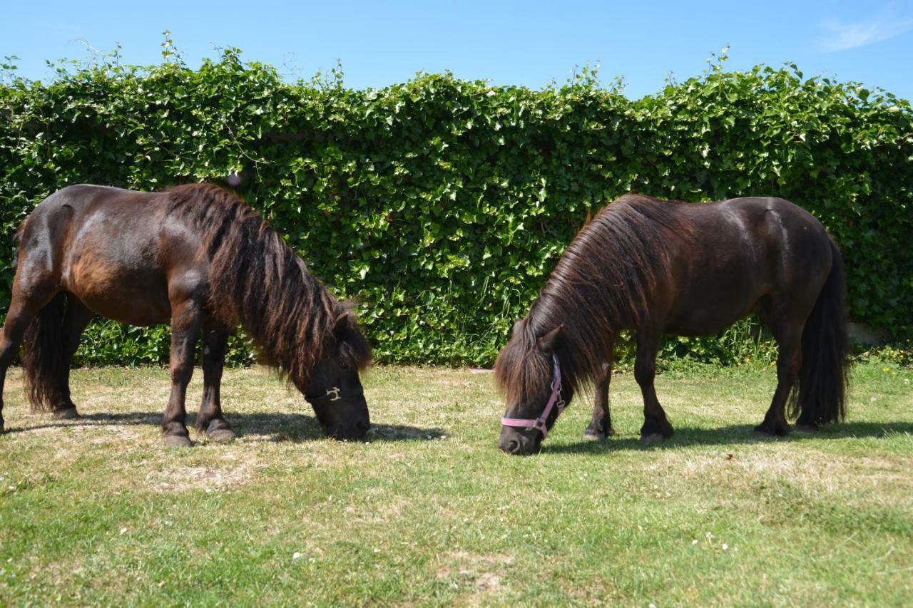 Holiday home Ponyhof Aagtekerke